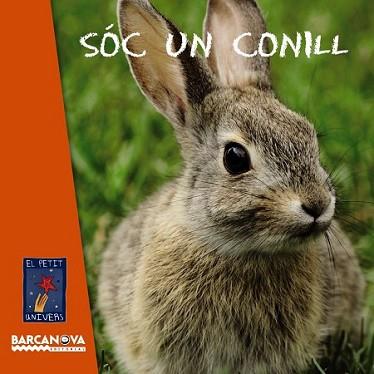 SÓC UN CONILL | 9788448932770 | Llibreria L'Illa - Llibreria Online de Mollet - Comprar llibres online