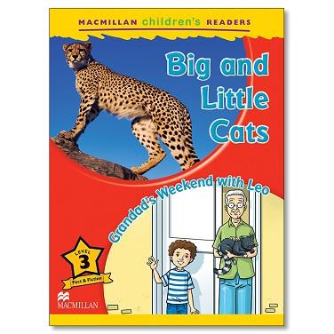 BIG AND LITTLE CATS | 9780230469211 | DEGNAN-VENESS, C. | Llibreria L'Illa - Llibreria Online de Mollet - Comprar llibres online