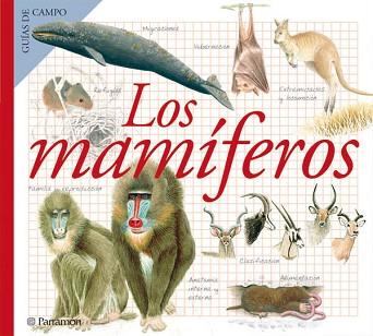 MAMIFEROS, LOS (GUIAS DE CAMPO) | 9788434228375 | JULIVERT ZAMARREÑO, MARIA ANGELS | Llibreria L'Illa - Llibreria Online de Mollet - Comprar llibres online