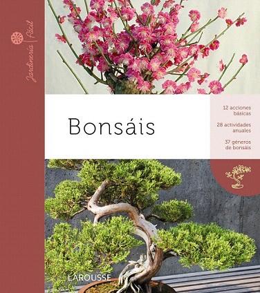 BONSAIS | 9788415411369 | Llibreria L'Illa - Llibreria Online de Mollet - Comprar llibres online