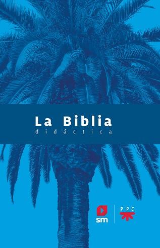 BIBLIA DIDÁCTICA, LA | 9788413183039 | VARIOS AUTORES | Llibreria L'Illa - Llibreria Online de Mollet - Comprar llibres online