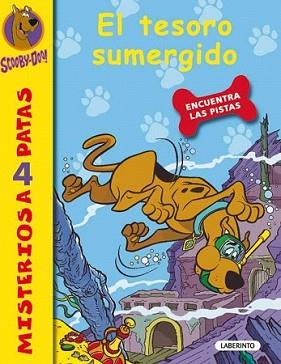 TESORO SUMERGIDO, EL | 9788484835042 | GELSEY, JAMES | Llibreria L'Illa - Llibreria Online de Mollet - Comprar llibres online