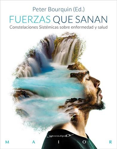 FUERZAS QUE SANAN. CONSTELACIONES SISTÉMICAS SOBRE ENFERMEDAD Y SALUD | 9788433029218 | BOURQUIN, PETER/HICKEY, BIRGIT/HOMBERGER, HARALD/SCHLOSSER, RAQUEL/CORREDOR, ELISABETH/HAUSNER, STEP | Llibreria L'Illa - Llibreria Online de Mollet - Comprar llibres online