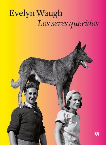 SERES QUERIDOS, LOS | 9788433928559 | WAUGH, EVELYN | Llibreria L'Illa - Llibreria Online de Mollet - Comprar llibres online