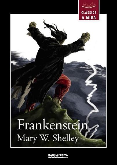 FRANKENSTEIN | 9788448934927 | SHELLEY, MARY W. | Llibreria L'Illa - Llibreria Online de Mollet - Comprar llibres online