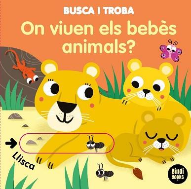 ON VIUEN ELS BEBÈS ANIMALS? | 9788418288005 | BARETTI, SONIA | Llibreria L'Illa - Llibreria Online de Mollet - Comprar llibres online