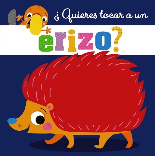 QUIERES TOCAR A UN ERIZO? | 9788469627143 | VARIOS AUTORES | Llibreria L'Illa - Llibreria Online de Mollet - Comprar llibres online