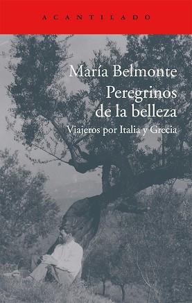 PEREGRINOS DE LA BELLEZA | 9788416011513 | BELMONTE BARRENECHEA, MARÍA | Llibreria L'Illa - Llibreria Online de Mollet - Comprar llibres online