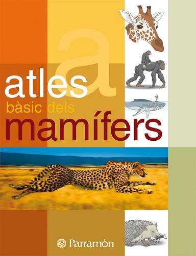 ATLES BASIC DELS MAMIFERS | 9788434229525 | VARIS | Llibreria L'Illa - Llibreria Online de Mollet - Comprar llibres online