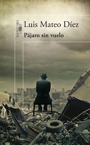 PÁJARO SIN VUELO | 9788420474984 | MATEO DÍEZ, LUIS | Llibreria L'Illa - Llibreria Online de Mollet - Comprar llibres online