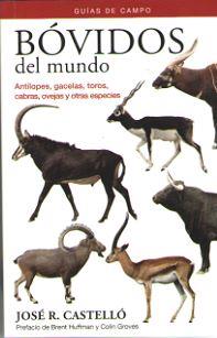 BOVIDOS DEL MUNDO (GUIAS DE CAMPO) | 9788428216838 | CASTELLÓ, JOSÉ R. | Llibreria L'Illa - Llibreria Online de Mollet - Comprar llibres online