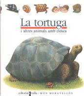 TORTUGA, LA | 9788476298206 | Llibreria L'Illa - Llibreria Online de Mollet - Comprar llibres online