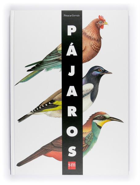 PAJAROS | 9788467541250 | PITTAU, FRANCESCO | Llibreria L'Illa - Llibreria Online de Mollet - Comprar llibres online