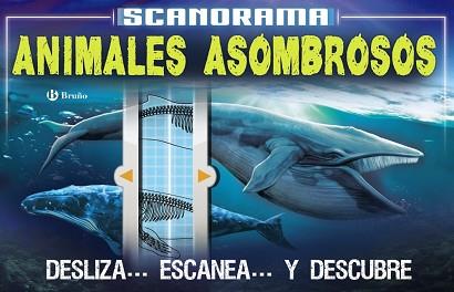 SCANORAMA. ANIMALES ASOMBROSOS | 9788469623657 | CLAYBOURNE, ANNA | Llibreria L'Illa - Llibreria Online de Mollet - Comprar llibres online