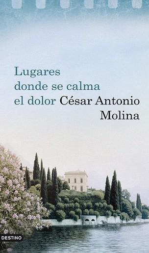 LUGARES DONDE SE CALMA EL DOLOR | 9788423341894 | ANTONIO MOLINA, CESAR | Llibreria L'Illa - Llibreria Online de Mollet - Comprar llibres online