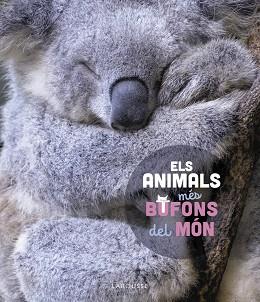 ANIMALS MÉS BUFONS DEL MÓN, ELS | 9788419436184 | LEDU, STÉPHANIE | Llibreria L'Illa - Llibreria Online de Mollet - Comprar llibres online