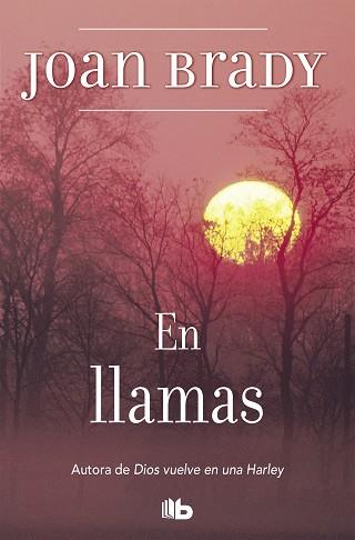 EN LLAMAS | 9788496581098 | BRADY, JOAN | Llibreria L'Illa - Llibreria Online de Mollet - Comprar llibres online