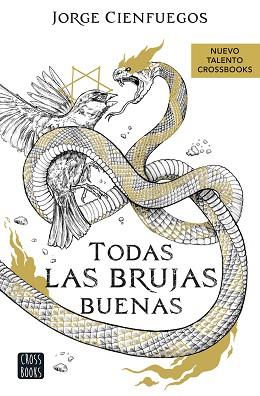 TODAS LAS BRUJAS BUENAS | 9788408260066 | CIENFUEGOS, JORGE | Llibreria L'Illa - Llibreria Online de Mollet - Comprar llibres online