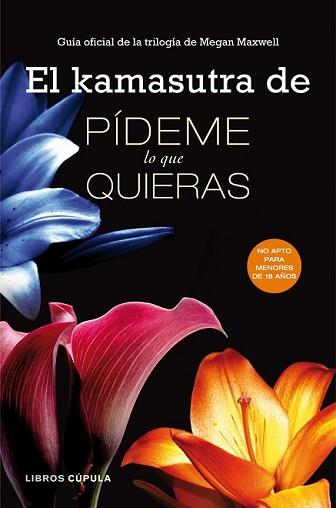 KAMASUTRA DE PÍDEME LO QUE QUIERAS, EL | 9788448018290 | AA. VV. | Llibreria L'Illa - Llibreria Online de Mollet - Comprar llibres online