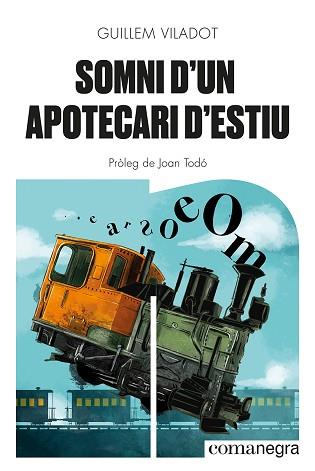 SOMNI D'UN APOTECARI D'ESTIU | 9788418857645 | VILADOT, GUILLEM | Llibreria L'Illa - Llibreria Online de Mollet - Comprar llibres online