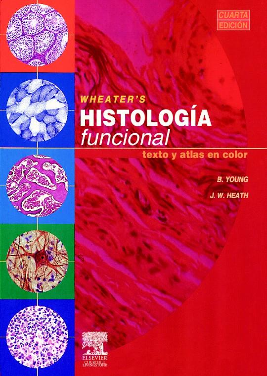 HISTOLOGIA FUNCIONAL: TEXTO Y ATLAS EN COLOR | 9788481744996 | HEATH | Llibreria L'Illa - Llibreria Online de Mollet - Comprar llibres online