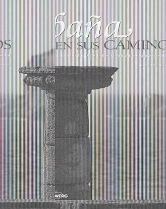 ESPAÑA EN SUS CAMINOS | 9788497854672 | AVILA, JESUS | Llibreria L'Illa - Llibreria Online de Mollet - Comprar llibres online