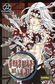 GUARDIANS DE LA NIT 22 | 9788467958683 | GOTOUGE, KOYOHARU | Llibreria L'Illa - Llibreria Online de Mollet - Comprar llibres online