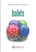 BOLETS | 9788484125600 | CASTRO/JUSTO/LORENZO | Llibreria L'Illa - Llibreria Online de Mollet - Comprar llibres online