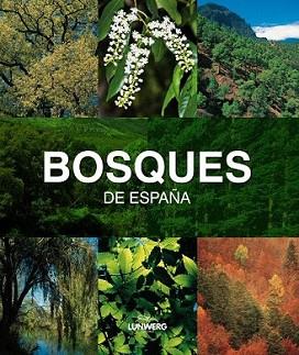 BOSQUES DE ESPAÑA. LUNWERG MEDIUM | 9788497857482 | JOAQUÍN ARAÚJO | Llibreria L'Illa - Llibreria Online de Mollet - Comprar llibres online