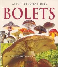 BOLETS | 9788467700350 | LAMAISON, JEAN-LOUIS/POLESE, JEAN-MARIE | Llibreria L'Illa - Llibreria Online de Mollet - Comprar llibres online