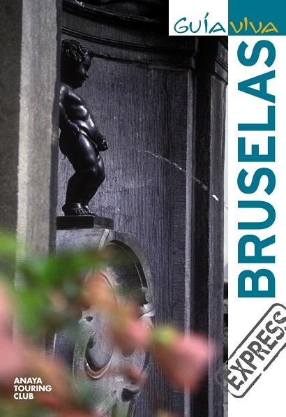 BRUSELAS | 9788497768627 | AA.VV. | Llibreria L'Illa - Llibreria Online de Mollet - Comprar llibres online