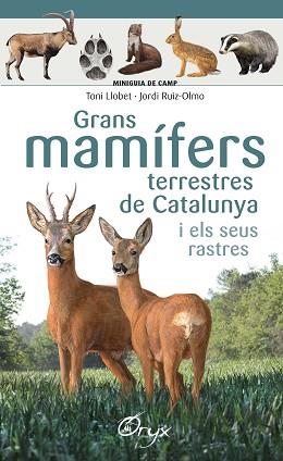 GRANS MAMÍFERS TERRESTRES DE CATALUNYA I ELS SEUS RASTRES | 9788490347881 | LLOBET FRANÇOIS , TONI/RUIZ-OLMO, JORDI | Llibreria L'Illa - Llibreria Online de Mollet - Comprar llibres online