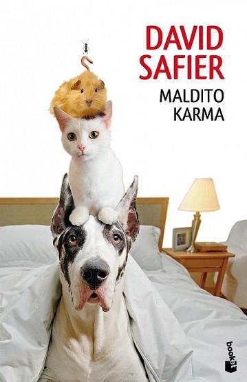 MALDITO KARMA | 9788432220852 | SAFIER, DAVID | Llibreria L'Illa - Llibreria Online de Mollet - Comprar llibres online